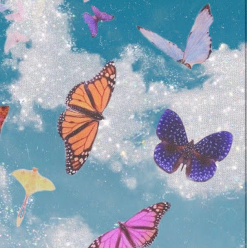 Meet your Posher, Bree